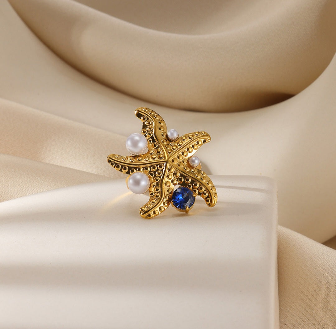 Starfish under the sea