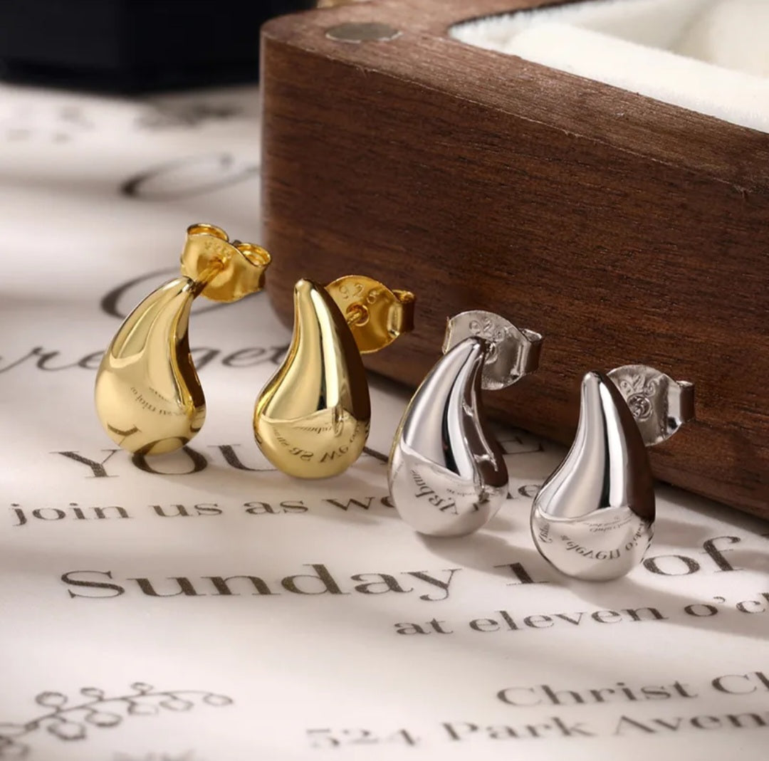 Silver Drops Earrings