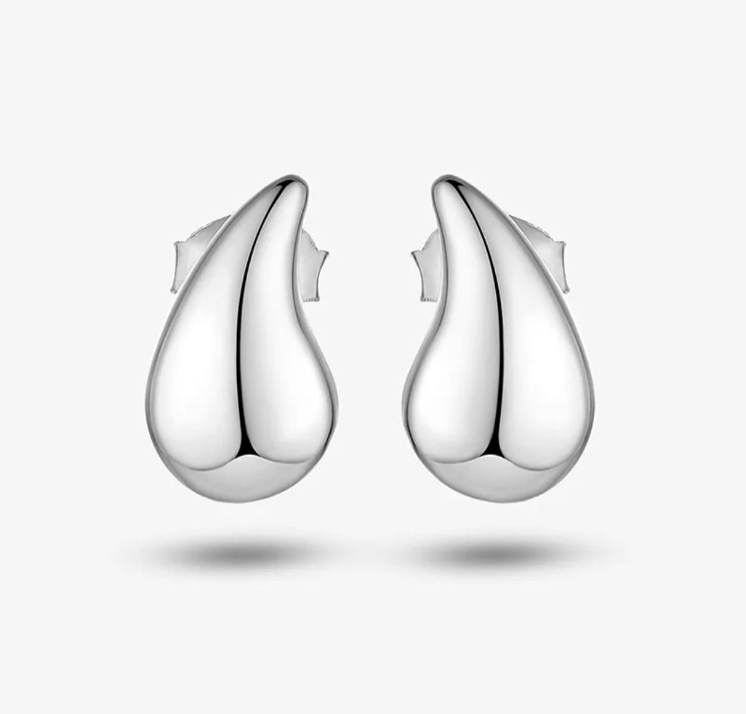 Silver Drops Earrings