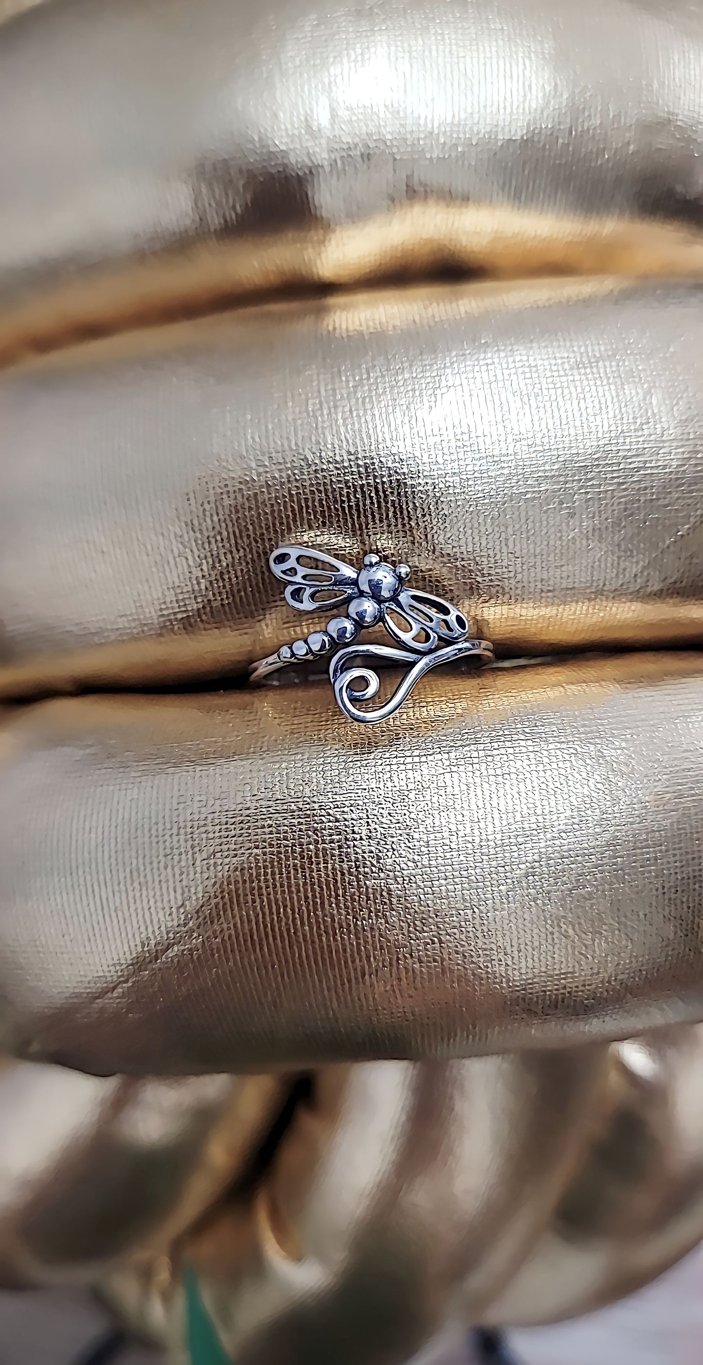 Dragon-fly
