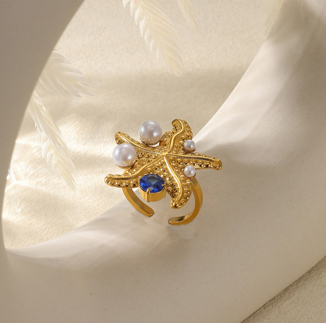 Starfish under the sea